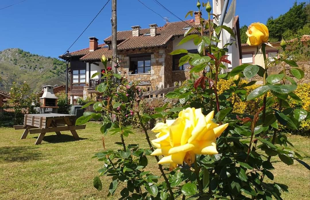 Apartamentos Rurales El Collain De Campiellos Bagian luar foto